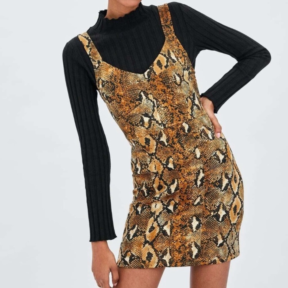 Zara Snakeskin Print Dress